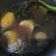 Cooksnap dari Selvia Irawati untuk resep Sayur Asem Jakarta