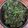ÝTumpa Bose's cooksnap of when they made রসুন ফোড়নে কলমি শাক ভাজা(rasun forone kolmi shak bhaja recipe in Bengali).