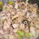 Cooksnap dari user_54762 untuk resep Baby cumi tumis hot spicy