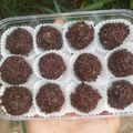 Cooksnap dari junalisha untuk resep Kue Rambutan