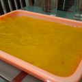 Cooksnap dari Isnun Pujiati untuk resep Es gabus strawberry mangga