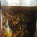 El cooksnap de Gonzalo Raymundo cuando hizo Escabeche de berenjenas.