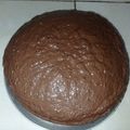 El cooksnap de Leila H cuando hizo Torta de vainilla esponjosa.