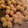 kate's cooksnap of when they made Maple Syrup Butter Cookies.