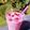 Valentina 's cooksnap of when they made Dreischichtiger Beeren Smoothie.