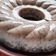 Cooksnap dari indri kawuri untuk resep Puding Susu Oreo Nyoklat, Creamy, Nyusu mudah banget