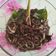 Cooksnap dari Deta May untuk resep Tumis Cumi Hitam