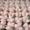 Cooksnap dari Mamah Agung untuk resep Kue Mangkok tape nasi
