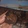 Cooksnap dari vannia untuk resep Brownies Panggang Ketan Hitam