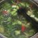 Cooksnap dari aminipriyono@gmail.com untuk resep Sop ikan bening (gurame)