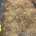 صورة من كبريائي كبريائي، شاركها بعد تجربة وصفة حلى سارونه