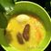 Cooksnap dari Ummu AthayaSyafiq untuk resep Soto Ayam Kampung