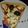 El cooksnap de marurucci cuando hizo Pizza al roquefort.