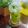 Cooksnap dari Agnes エミリア 💕 untuk resep Melon Mint Iced Tea