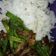 Cooksnap dari Yussie Ochin untuk resep Oseng Sayur Tenggiri
