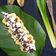 Cooksnap dari Nida Heryani untuk resep Pisang Kapik Pariaman