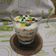Cooksnap dari Berlian Soewandono untuk resep Chocochip White Cake in jar