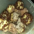 Cooksnap dari Ester 69 untuk resep Bola-Bola Singkong Imut