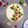 Cooksnap dari Galia salfitri untuk resep Key Lime Pie