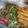Cooksnap dari Dyandini Soewiryo untuk resep Mie Tek Tek
