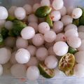 Cooksnap dari Selly Johar untuk resep Asinan Rambutan