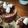 Sagesse Cuisine's cooksnap of when they made ⭐⭐ Mousse au chocolat ultra yummy.