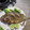 El cooksnap de AnaLi cuando hizo  Mojarra al mojo de ajo.