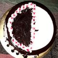 Sheetal Nandha's cooksnap of when they made વેનીલા ચોકલેટ કેક(Vanilla Chocolate Cake Recipe In Gujarati).