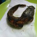 Cooksnap dari ummu fathimah untuk resep Lele goreng(tips lele tak berlendir)