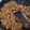 Cooksnap dari asti . untuk resep Abon Ayam