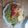 El cooksnap de Jandery Castañeda cuando hizo Tallarines verdes con milanesa🤤.