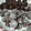 El cooksnap de Carolina De León cuando hizo Trufas de chocolate y galletas maría 🍪🍫!!!.