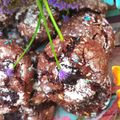 Cooksnap από 🧁 Έλενα 🧁 Ζερβού 🧁 στη συνταγή Κρακελέ μπισκότα🍪