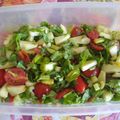 El cooksnap de Miguel cuando hizo Ensalada fresca de apio, palta, manzana y tomates.