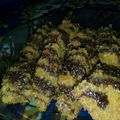 Cooksnap dari rika mulyani untuk resep Nugget pisang crispy