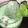 Cooksnap dari nurul hayya hafizhiah untuk resep Es buko pandan