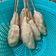 Cooksnap dari Abidahemas untuk resep Sempol ayam empuk favorit fathan