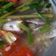 Cooksnap dari Dini untuk resep Sup Ikan Senangin