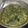 Cooksnap dari Khadee untuk resep Sayur daun singkong kuah santan