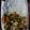 Chinyere Jackson 's cooksnap of when they made Chicken curry sauce.