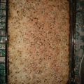 Cooksnap dari Zena untuk resep Baked mash potato with macaroni