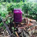 Linima Chudgar's cooksnap of when they made Jamun Float.