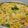 Vaishaliben Rathod's cooksnap of when they made સેવ ખમણી(અમીરી ખમણ).