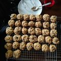 thor19311's cooksnap of when they made Vanishing Oatmeal Raisin Cookies.