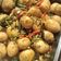Cooksnap dari Ragil Wulandari untuk resep Telor Petis / Petis lading Khas Surabaya