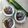 Cooksnap dari SaBa's Kitchen untuk resep 174. Bubur Sagu Ambon
