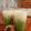 Cooksnap dari None untuk resep Cendol tepung beras daun pandan ala dapur Q