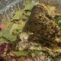 Mamu's cooksnap of when they made Dadden salad.