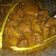 Cooksnap dari putrikapka@gmail.com untuk resep Semur daging sapi