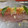 El cooksnap de Cessy Corona cuando hizo Filete relleno empapelado.